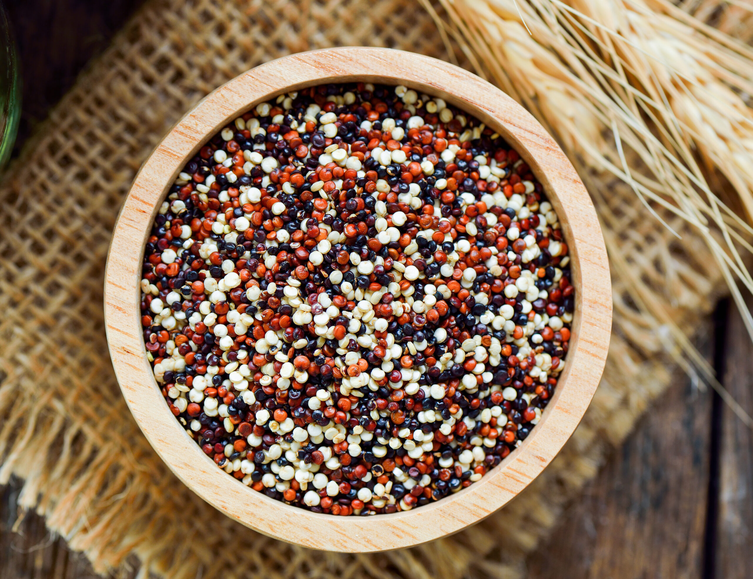 Quinoa seeds in bowl